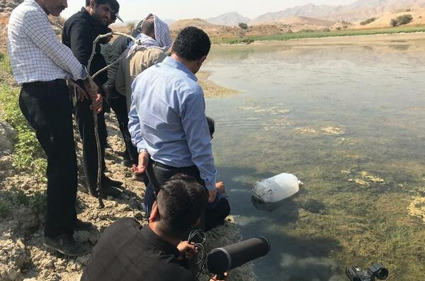 عکس چشمه شیرین