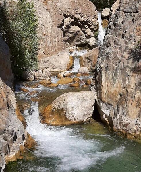 عکس شیرین سو