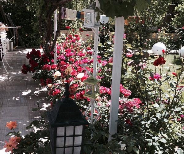 عکس خانه های چوبی شاهین شهر