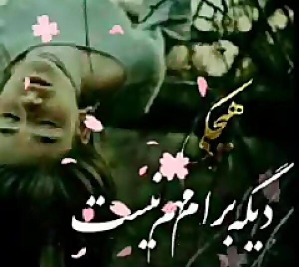 عکس شاهین حیدری