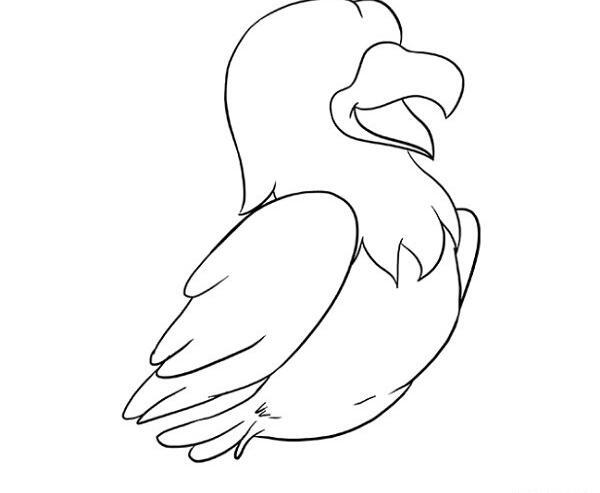 عکس طراحی شاهین