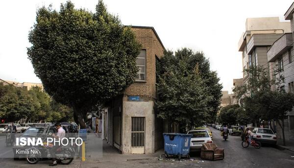 عکس خیابان شکوفه تهران