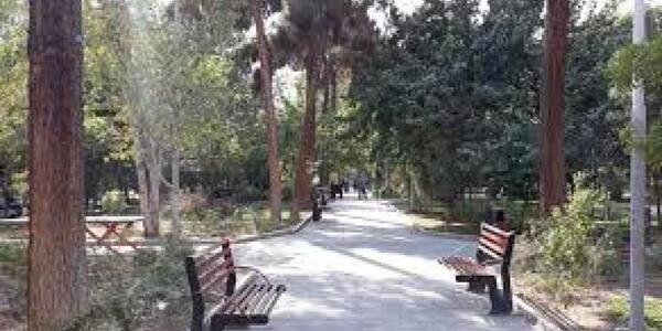 عکس خیابان شکوفه تهران