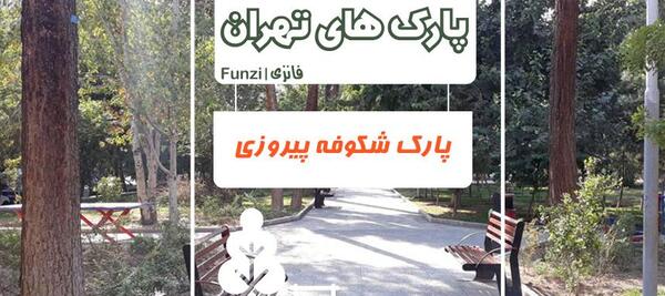 عکس خیابان شکوفه تهران
