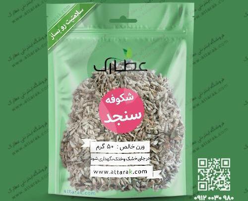 عکس شکوفه سنجد