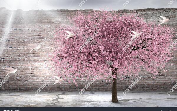 عکس شکوفه سه بعدی