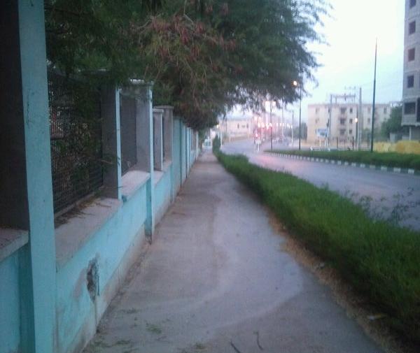 عکس شکوفه شهابی پور