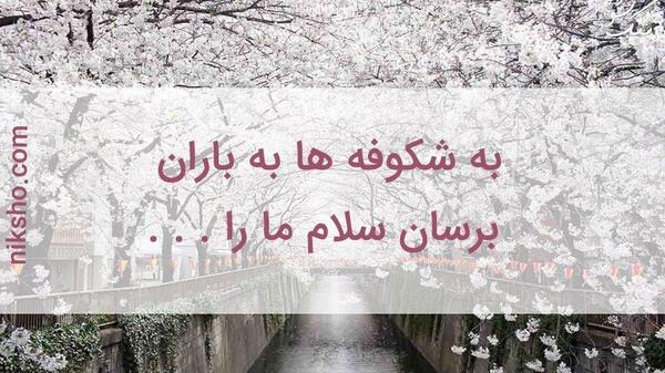 عکس شعر شکوفه
