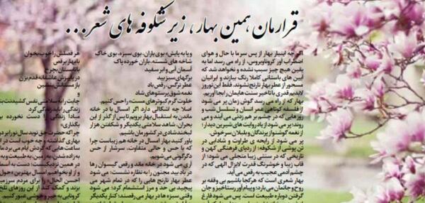 عکس شکوفه طاهری