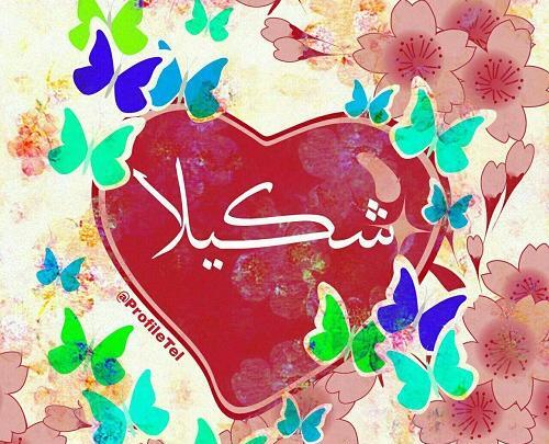 عکس تولد شکیلا