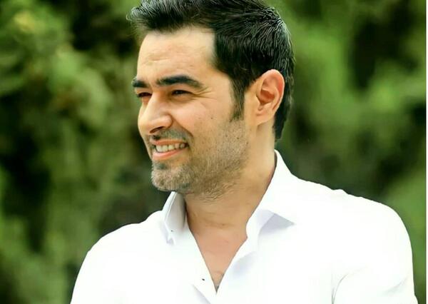 عکس شهاب نیازمند