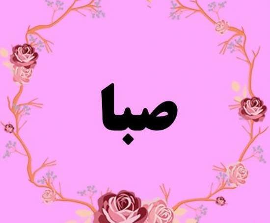 عکس گل صبا