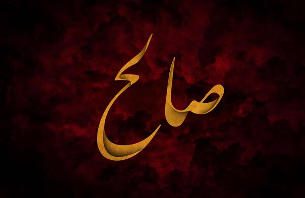 عکس صالح در