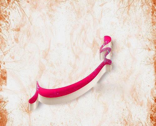 عکس صدیقه و محمد