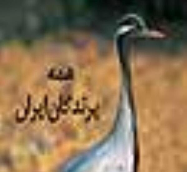 عکس صادق پرنده