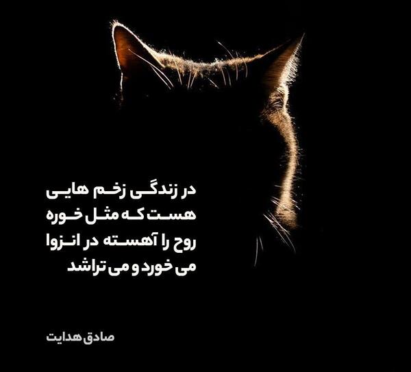 عکس صادق هدایت بوف کور