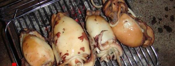 عکس صدف پخته شده