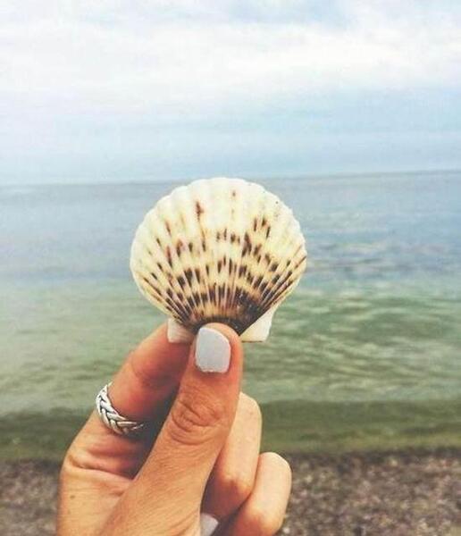 عکس صدف پروفایل