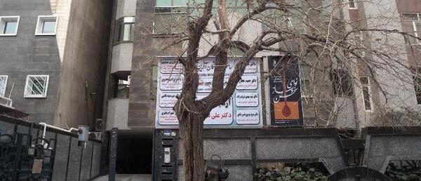 عکس دکتر صفیه عشوری
