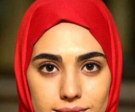 عکس صابر فردوس در ستایش ۳