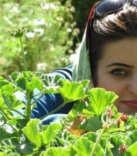 عکس شیما ضیاء