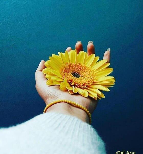 عکس دخترانه فانتزی نیک شو
