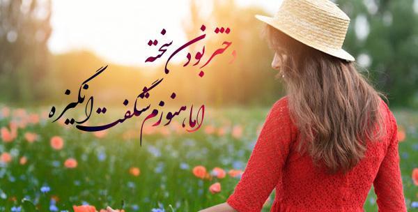 عکس پروفایل دخترونه شاخ و شاد