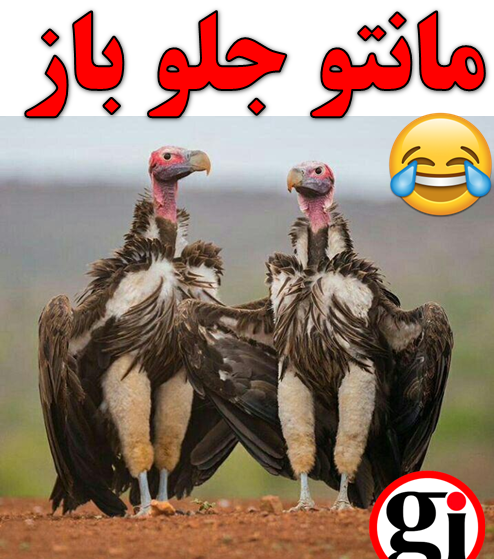 عکس مانتو جلو باز جدید اینستاگرام