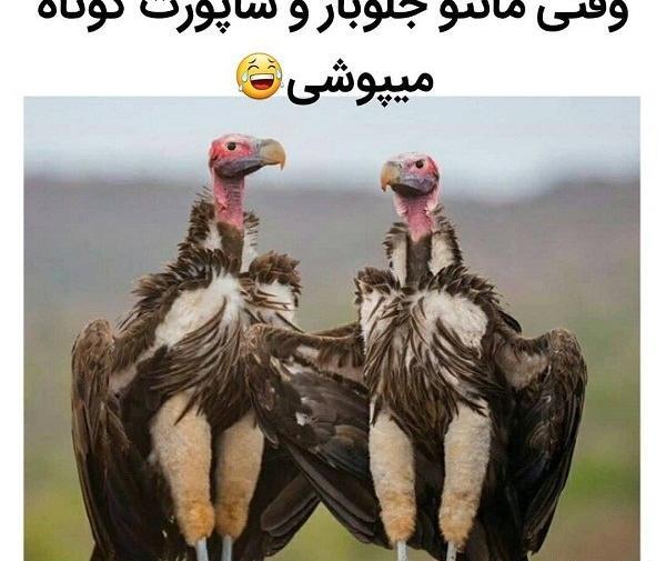 عکس طنز مانتو جلو باز