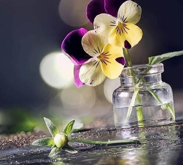 عکس زیبا برای تصویر واتساپ