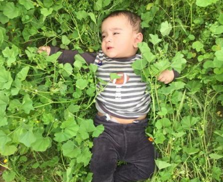عکس زیبا برای گروه واتساپ