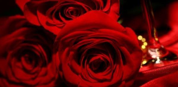 عکس گل زیبا برای واتساپ