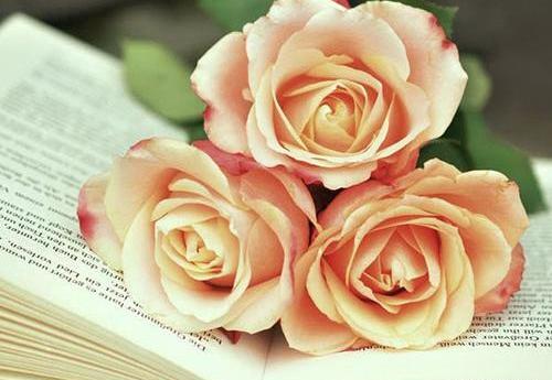 عکس های بسیار زیبا برای واتساپ