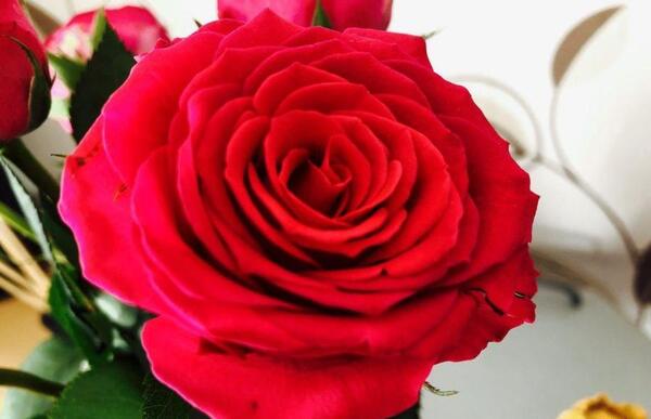 عکس متن زیبا برای شروع گروه واتساپ