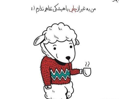 عکس کیوت جذاب