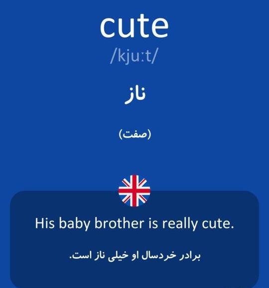 عکس کیوت یعنی چی