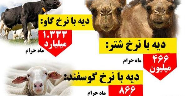 عکس کیوت گاو