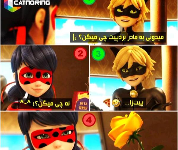 عکس طنز از لیدی باگ