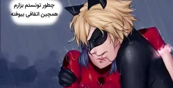 عکس عاشقانه ی لیدی باگ و کت نوار