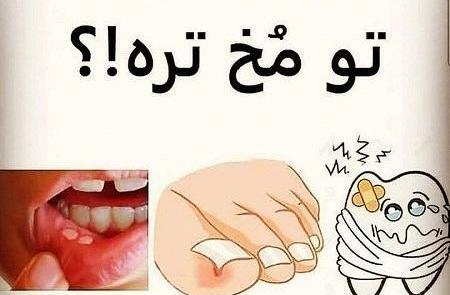 عکس های چالشی