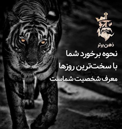 عکس های ذهن برتر