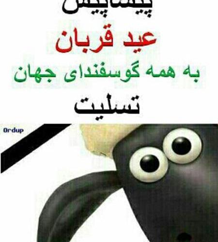 عکس های عید قربان