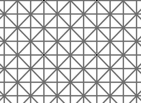 عکس های گیج کننده مغز