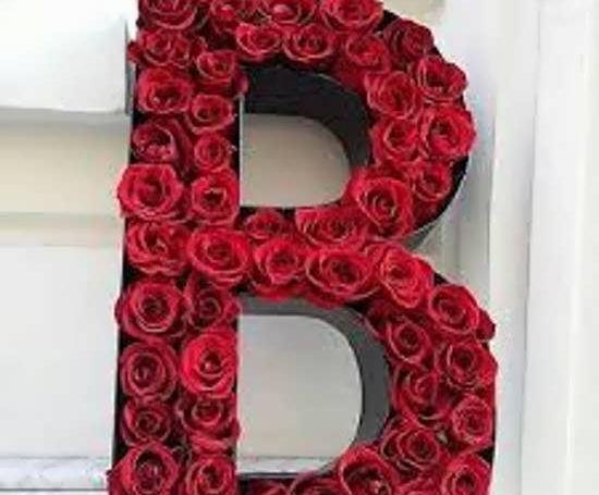 عکس های b