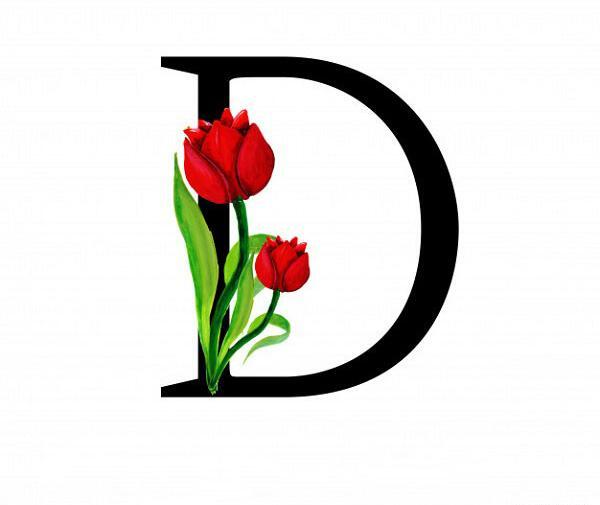 عکس های d