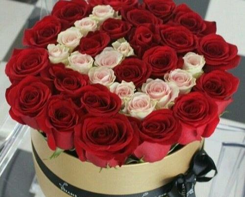 عکس های e
