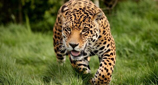 عکس های full hd برای دسکتاپ