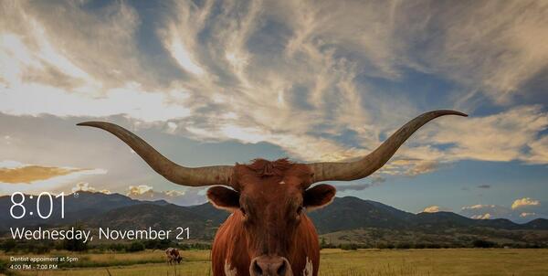 عکس های lock screen ویندوز 10