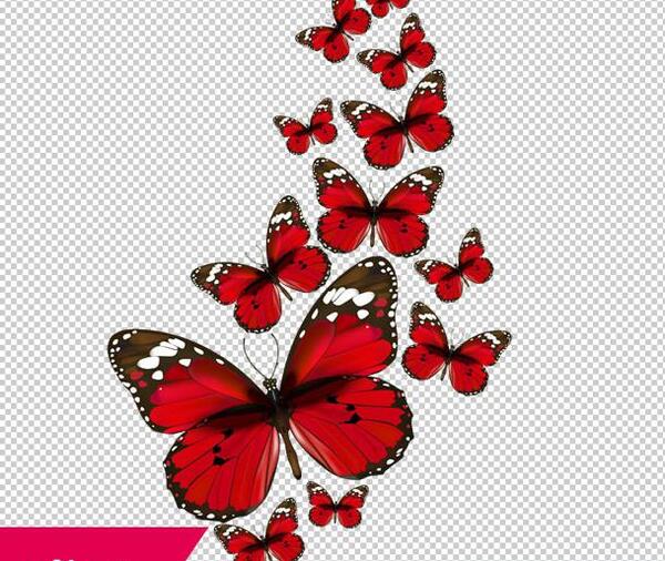 عکس های png با کیفیت