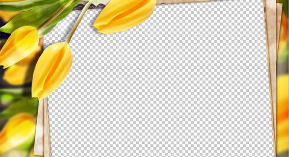 عکس های png با کیفیت